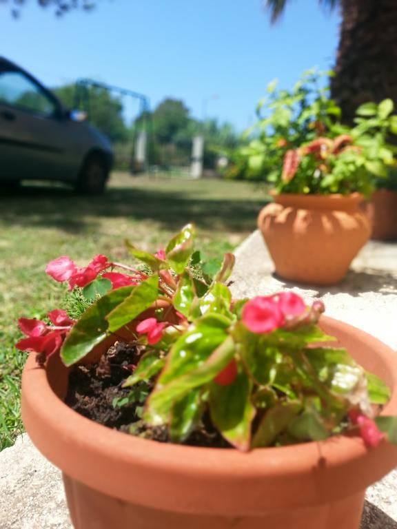 ארילס Feakes Apartments מראה חיצוני תמונה